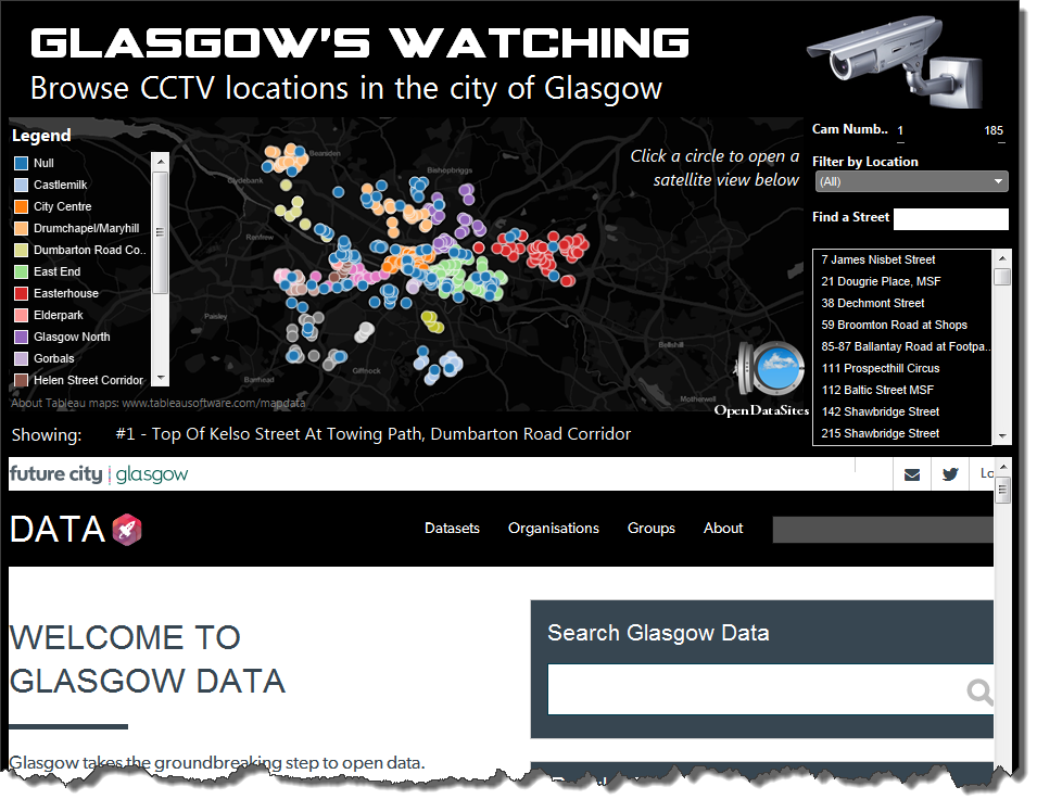 The resulting Dashboard, with the Web Page showing in the view