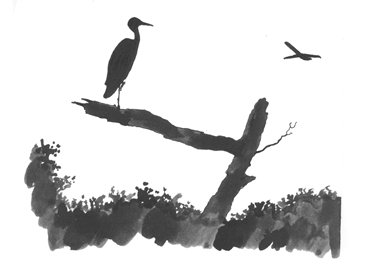 heron-and-plane.png