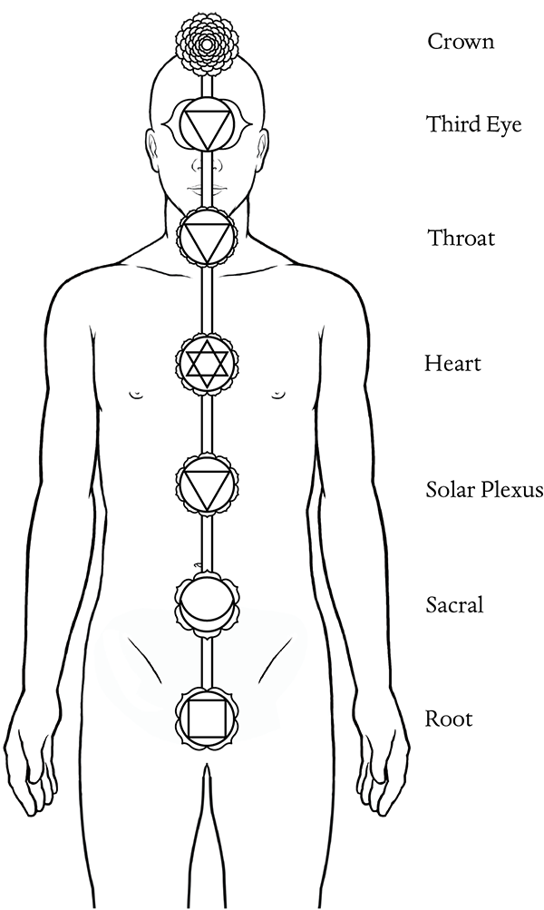 The Seven Chakras