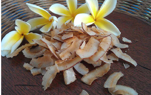 Close-up of Barbara Preston’s coconut candy from Hana Lulu’s Candy. COURTESY OF HANA LULU’S CANDY