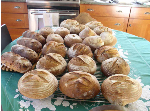 Seedsower Farm’s artisanal breads, ready for packing for market. COURTESY OF SEEDSOWER FARM