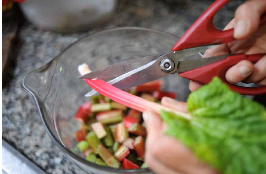 Co-author Lisa Kivirist cutting rhubarb stalks to prepare her half pints of Serendipity Rhubarb Shrub for sale at Inn Serendipity. Reaching back to colonial times, shrubs use vinegar and sugar to preserve fruit flavors. JOHN D. IVANKO