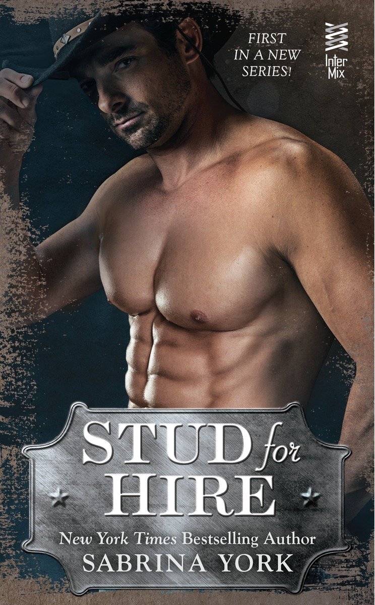 Cover for Stud for Hire