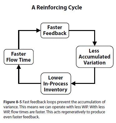 A Reinforcing Cycle