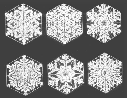 Snowflakes