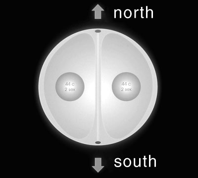 Chromosomes