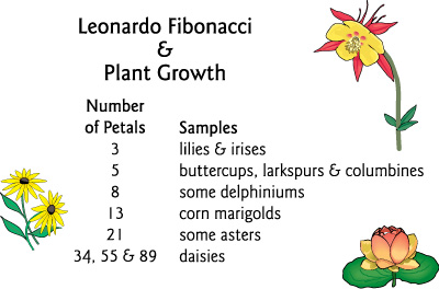 Fibonacci sequence