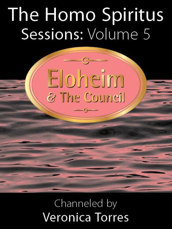 Homo Spiritus Sessions, Volume 5 Cover