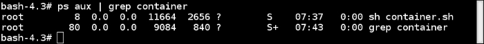 The pid namespace