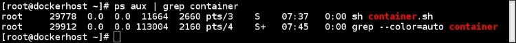The pid namespace
