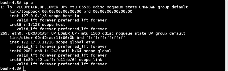 The net namespace