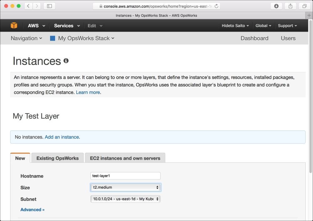The OpsWorks instance
