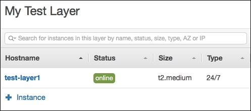 The OpsWorks instance