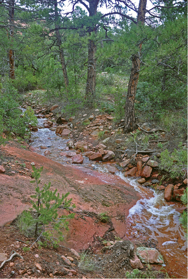 Aiken_Canyon_Trail_1.tif