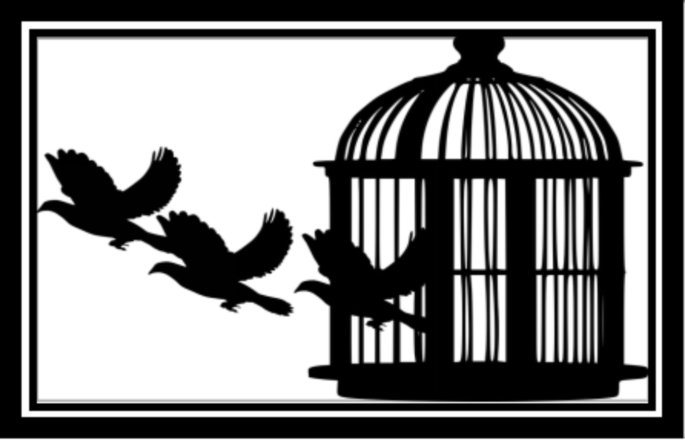 Bird, Cage, Silhouette, Escape, Freedom, Searches