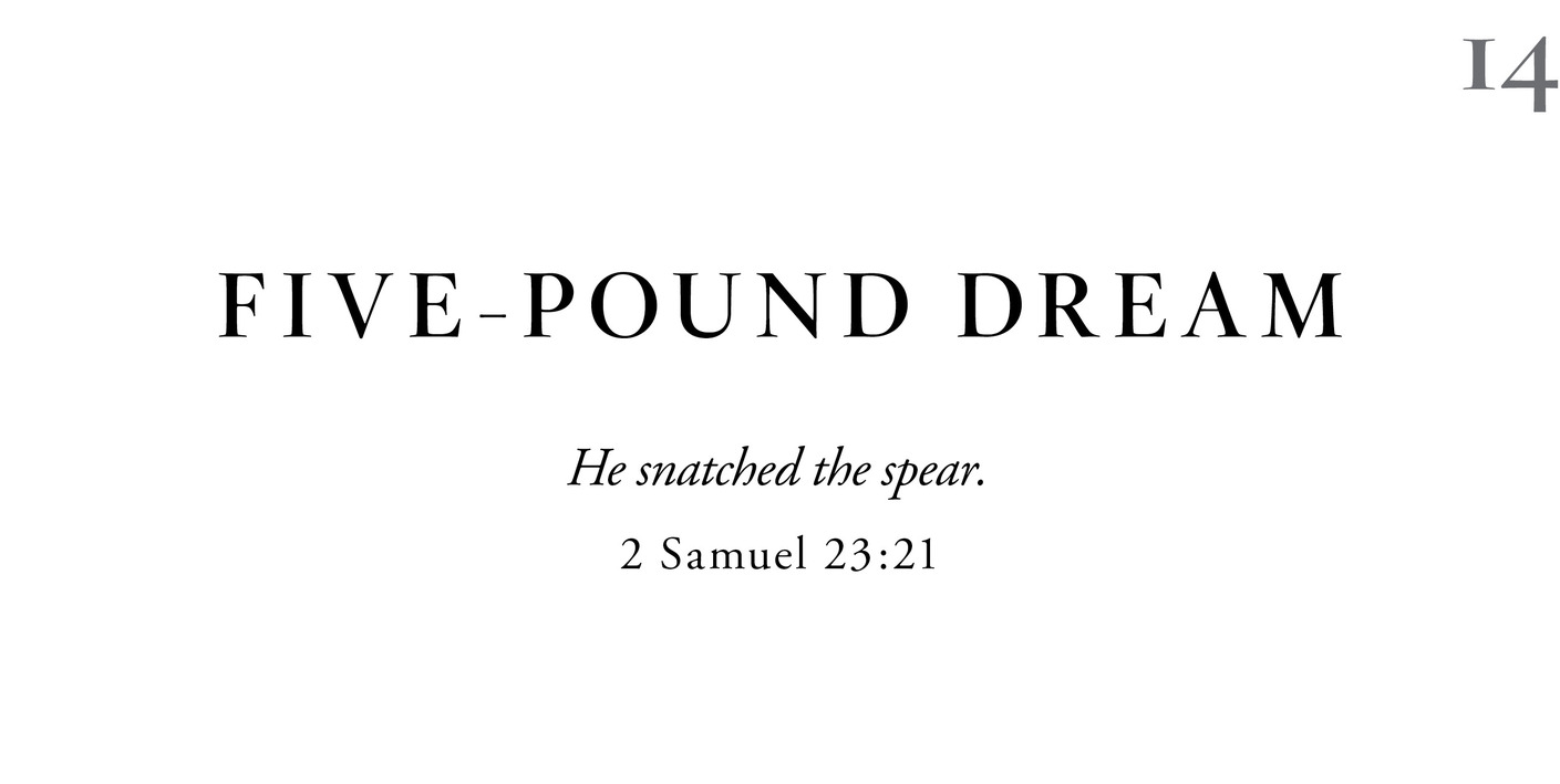 14 Five-Pound Dream He snatched the spear. 2 Samuel 23:21