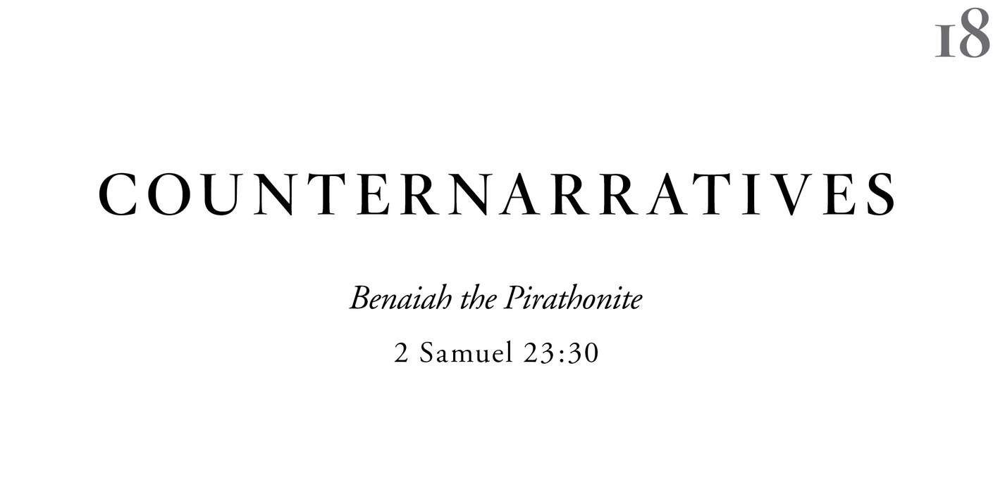 18 Counternarratives Benaiah the Pirathonite 2 Samuel 23:30