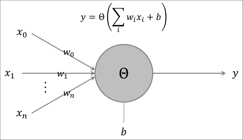 The perceptron