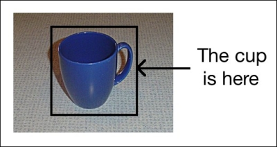 Object detection versus object recognition