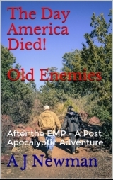 Old Enemies Cover from Amazon