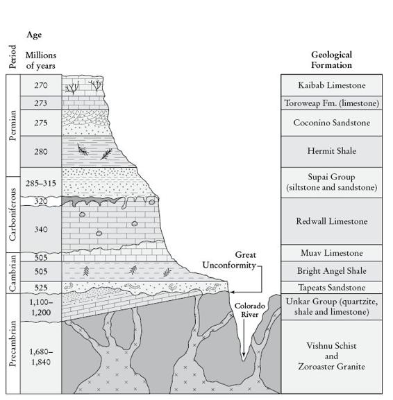 4-Grand-Canyon.ai