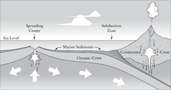 20-Plate-Tectonics.ai