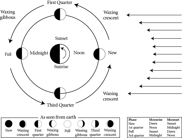 Phases%20of%20Moon%20.eps