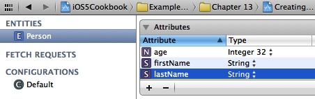 We have added three attributes to the Person entity