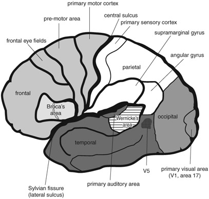 Figure 1.1 