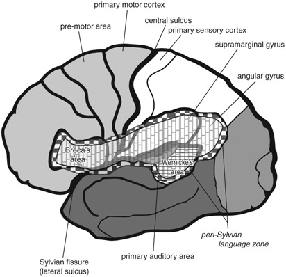 Figure 1.2 