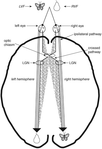 Figure 3.2 