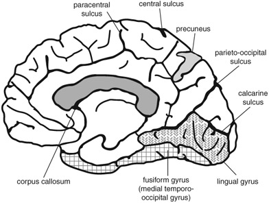 Figure 3.3 