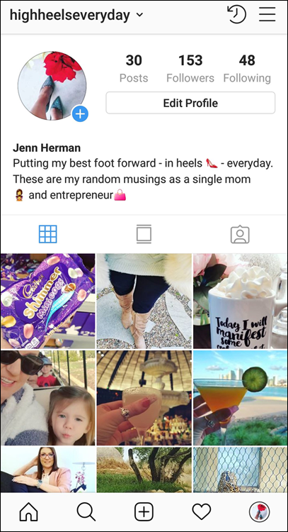 Screenshot of the Instagram profile consisting of these standard components.