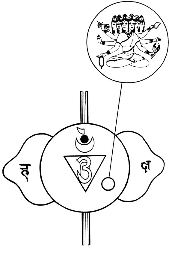 fig%207-1%20wheels%20of%20life%20MF.TIF