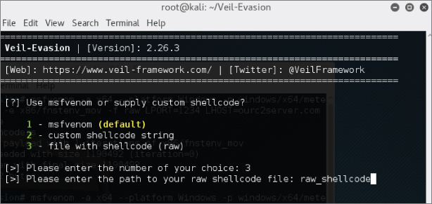 Illustration of Veil compiled Python executable from the raw shellcode.