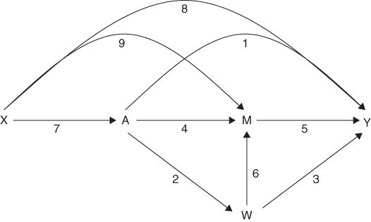 Diagrams for effects of a hypothetical conditional cash transfer program A on children's height-for-age.