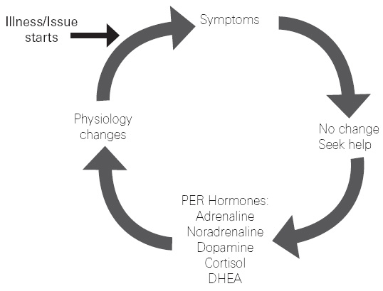 The cycle of illness