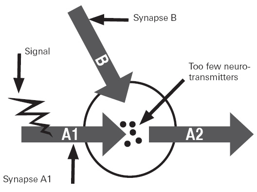 Figure 6.1