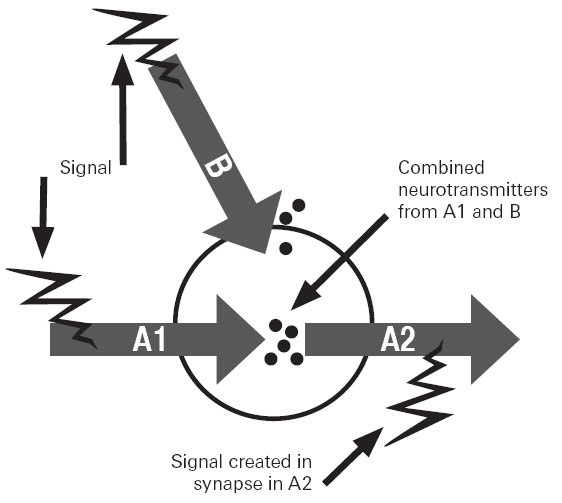 Figure 6.2