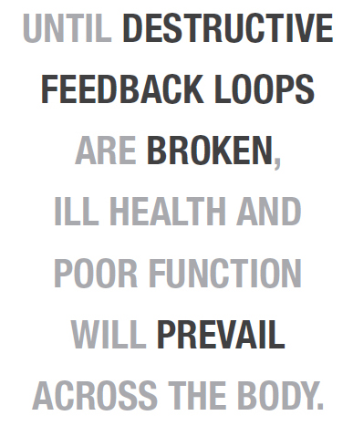 Until destructive feedback loops are broken, ill health and poor function will prevail across the body.