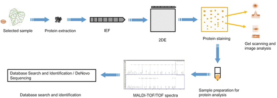 A340041_1_En_13_Fig1_HTML.gif