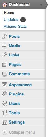 The main Admin menu in WordPress Admin menu