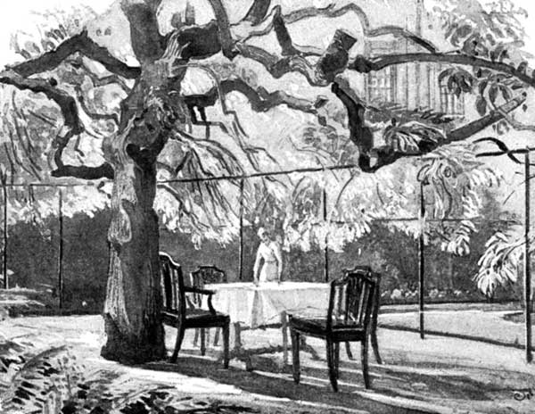 THE ASH-TREE IN THE GARDEN OF JOHN LEECH'S HOUSE