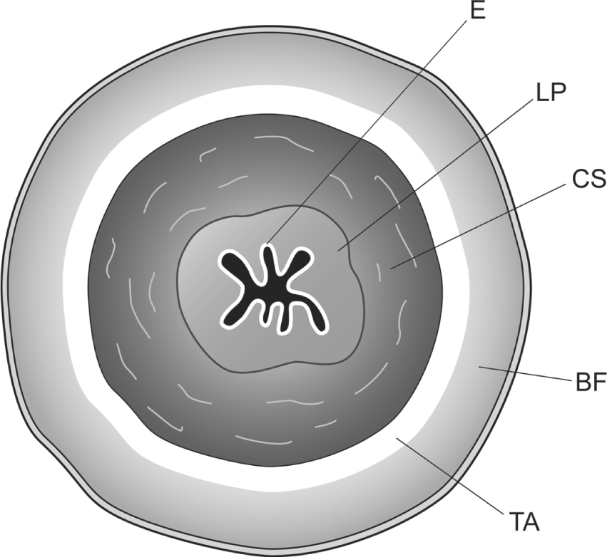 A978-1-59745-103-1_1_Fig11_HTML.jpg