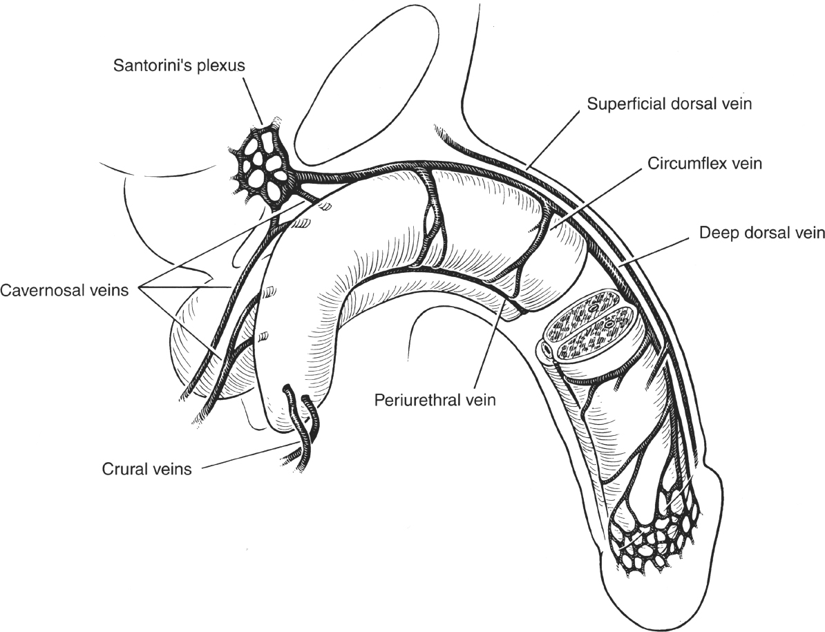 A978-1-59745-103-1_2_Fig14_HTML.jpg