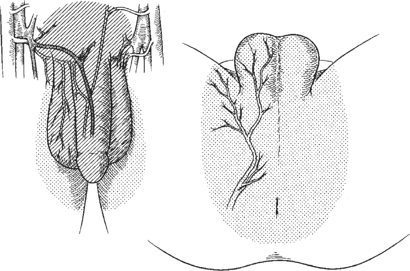 A978-1-59745-103-1_2_Fig1_HTML.jpg