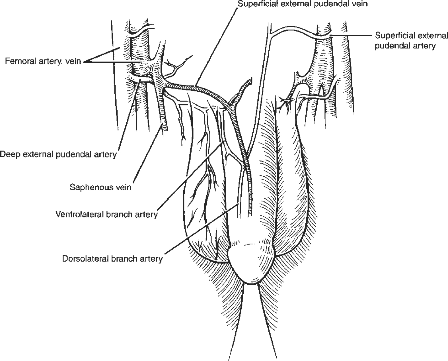 A978-1-59745-103-1_2_Fig2_HTML.jpg