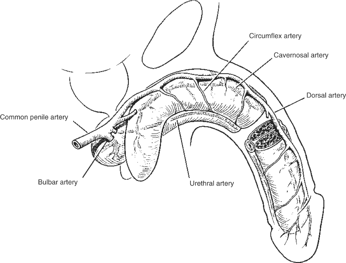 A978-1-59745-103-1_2_Fig7_HTML.jpg