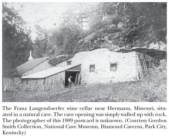 Image: The Franz Langendoerfer wine cellar near Hermann, Missouri, situated in a natural cave. The cave opening was simply walled up with rock. The photographer of this 1909 postcard is unknown. (Courtesy Gordon Smith Collection, National Cave Museum, Diamond Caverns, Park City, Kentucky)