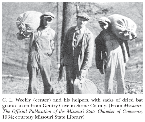 Image: C. L. Weekly (center) and his helpers, with sacks of dried bat guano taken from Gentry Cave in Stone County. (From Missouri: The Official Publication of the Missouri State Chamber of Commerce, 1934; courtesy Missouri State Library)